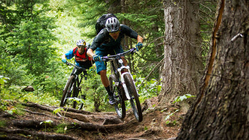 This Is How To Choose The Right Mountain Bike