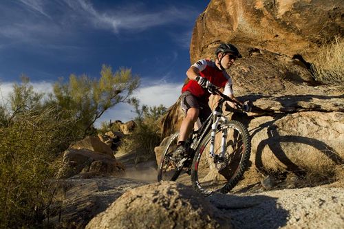 This Is How To Choose The Right Mountain Bike