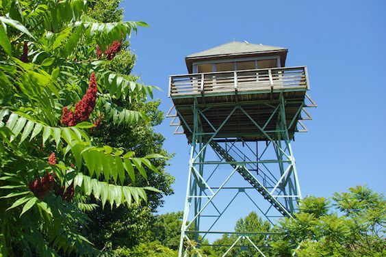 The Fryingpan Mountain Lookout Tower: A Must for all Hiking Lovers